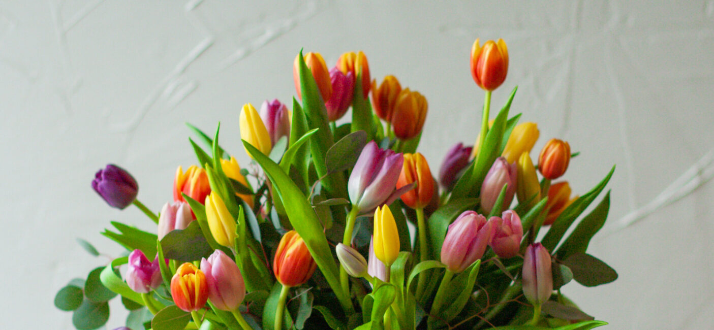 About:Spring into Happiness with Fresh Blooms!